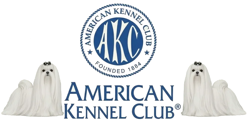 American Kennel Club